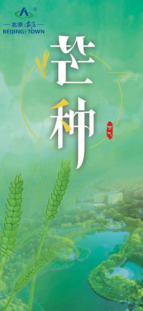 作什么什么芒成语大全四个字，作什么什么芒成语有哪些
