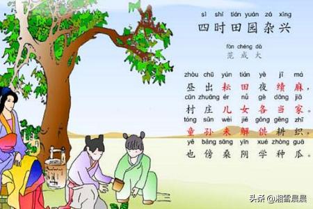 乡村四月闲人少的意思，乡村四月闲人少是谁写的