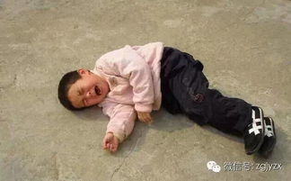 撒泼打滚是什么行为类型