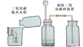 二氧化碳是什么杂化，二氧化碳是什么组成的