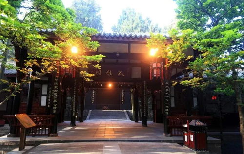 锦官城外柏森森的柏森森有何深意，锦官城外柏森森是什么生肖