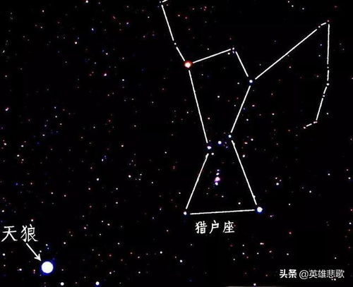 贪狼是什么意思