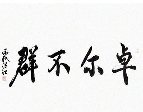 卓而不群的成语意思，卓尔不群怎么玩s8.5