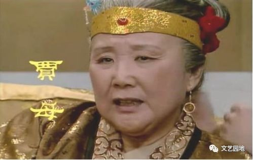 贾敬和贾母的关系?，贾敬和贾母的关系是什么