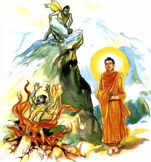 藤蔓攀缘的意思，攀缘的意思和拼音