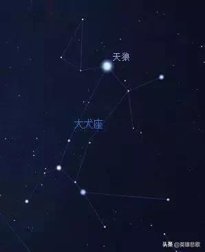 夫妻宫贪狼星是什么意思，贪狼星是什么意思?贪狼星入各宫如何