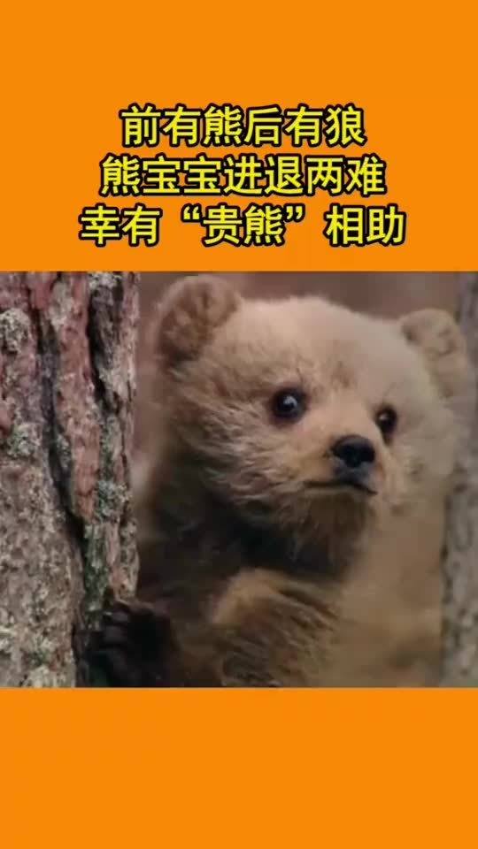 古文中有熊何意?