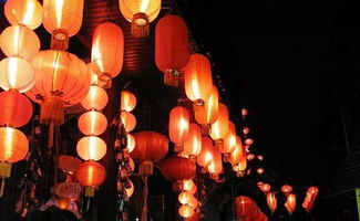 正月十五夜古诗的意思，正月十五夜古诗注音版张祜