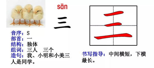 培组词 汉字培怎么组词