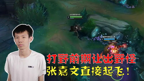 斩获的意思是什么
