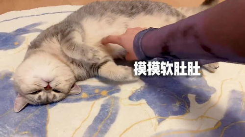 聊天打哈哈是什么意思