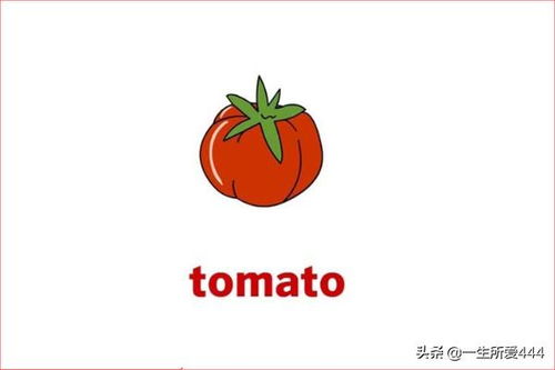 tomato怎么读