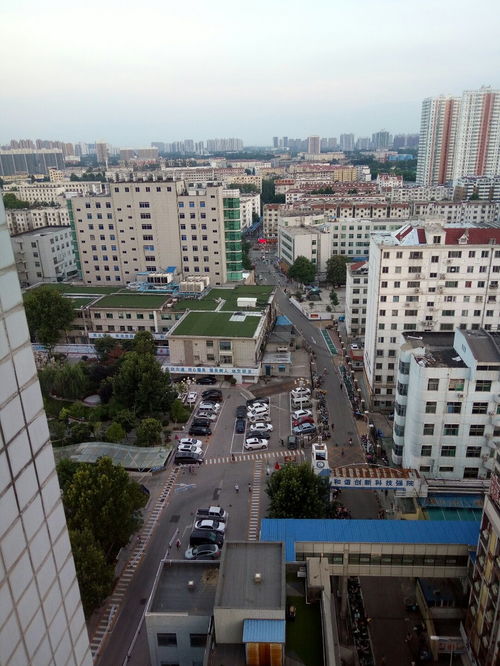 济宁市任城区邮政编码查询，济宁市任城区 邮政编码