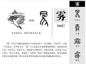 雾怎么读