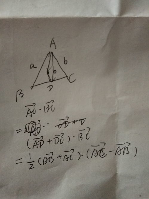 另当别论的解释词语?