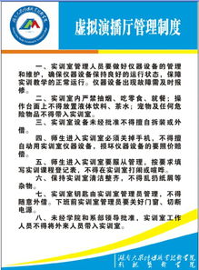 实践是什么意思