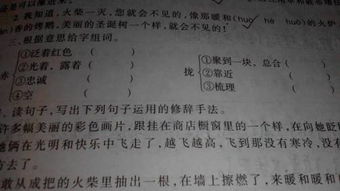致的组词是什么