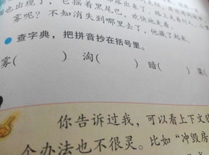 雾的拼音怎么写，雾霭的拼音和意思
