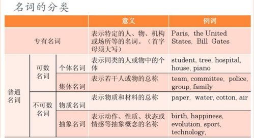 什么是集体名词