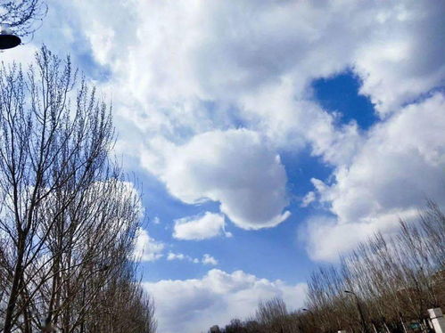 什么地飘荡词语，白云在蓝天上什么地飘荡