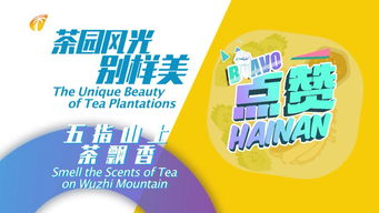 汤的组词是什么