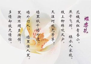 天涯何处无芳草打一字，天涯何处无芳草是啥意思