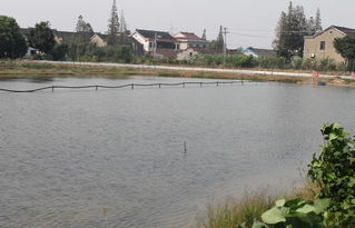 池塘的塘怎么写