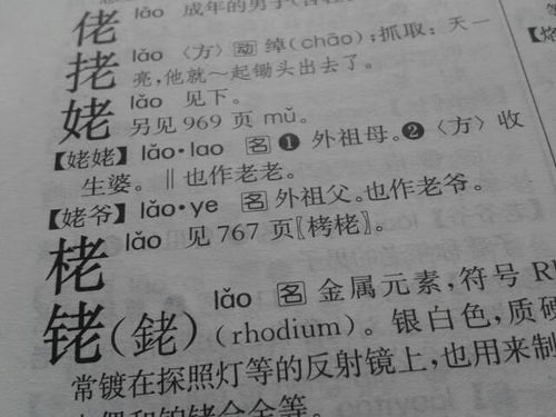 姥的组词有哪些