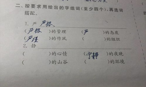 致敬的致怎么组词，致怎么组词二年级下册