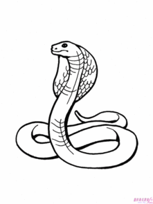 画蛇添足的故事和寓意，画蛇添足是寓言故事吗