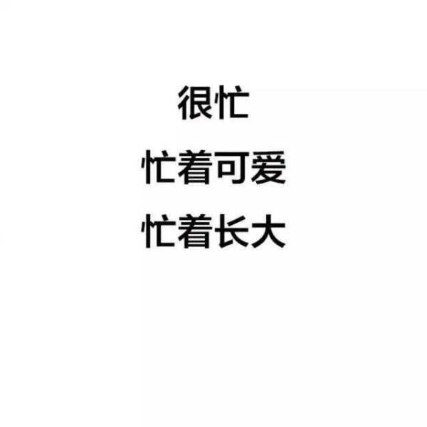 搭理是什么意思