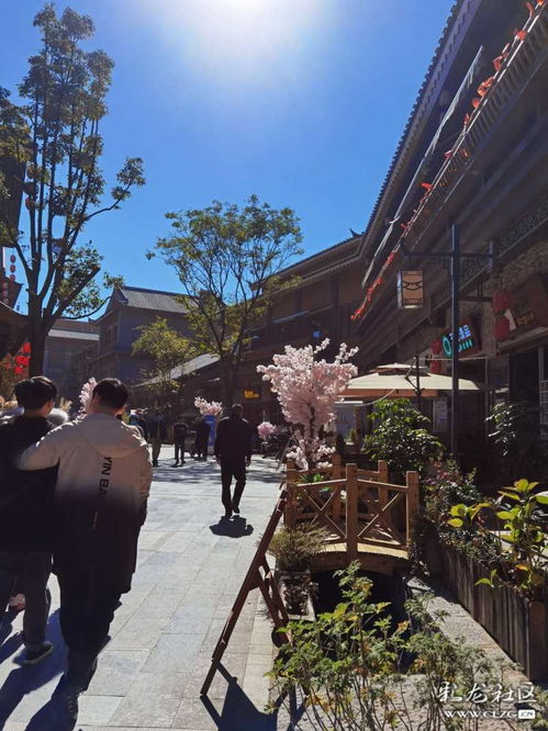 闲逛的意思,在用法上有没有什么区别