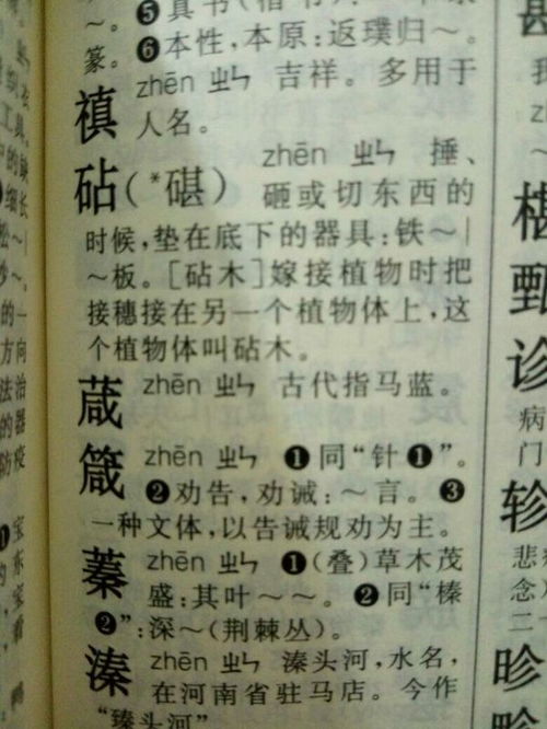 箴怎么读组词，篾怎么读 拼音