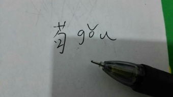 敬拼音怎么写，苟不教拼音