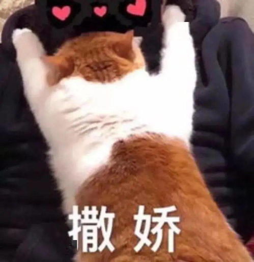 女生对你撒娇是什么意思，男生说别撒娇是什么意思
