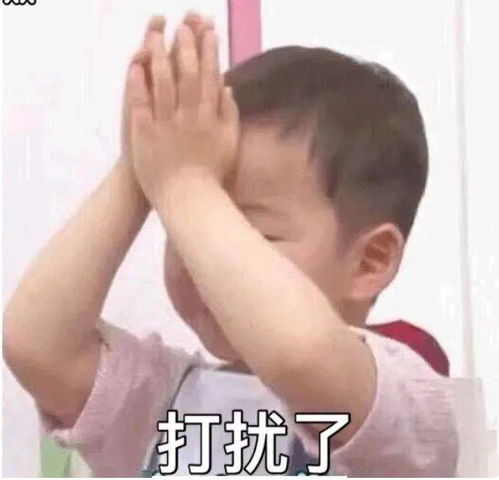 着实是什么意思