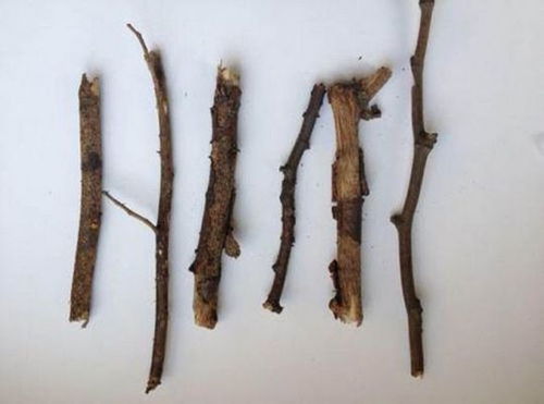 六根六尘六识是什么，六根清净竹