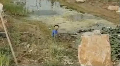 淤泥什么意思