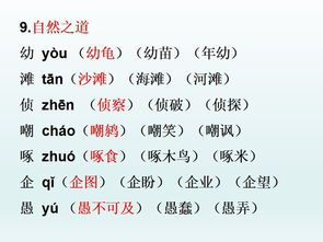 连字组词，连字组词造句一年级简单的