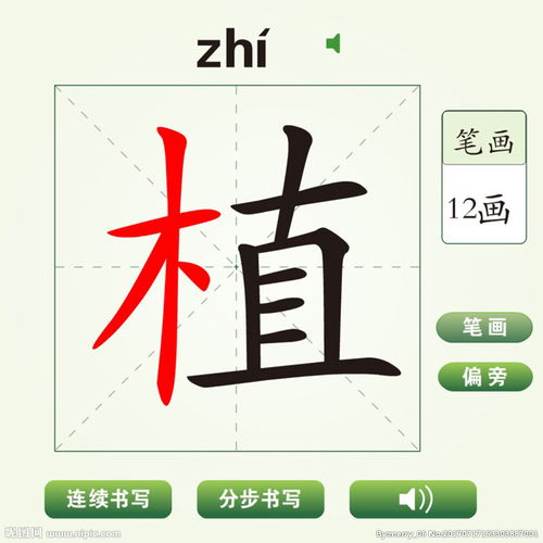 植笔画名称，植笔画怎么读