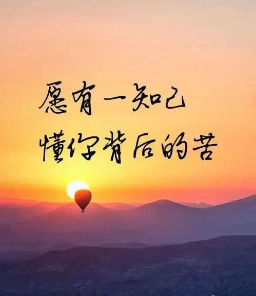 人生得一知己,足以慰风尘的意思，人生得一知己感悟精辟句子