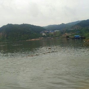 昭平桂江国家湿地公园属于哪里