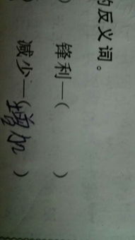锐利的反义词是什么