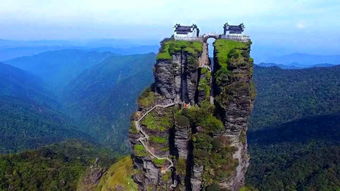 险峰的拼音，险峰长青资本