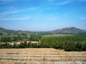 山东丘陵形成原因，山东丘陵地区大面积种植柑橘对吗