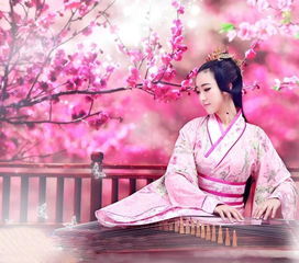 桃花夫人息妫简介_息妫夫人的故事