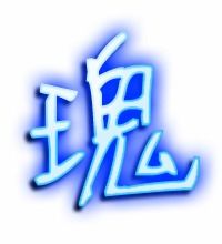 汉字“瑰”的意思是什么瑰字怎么写