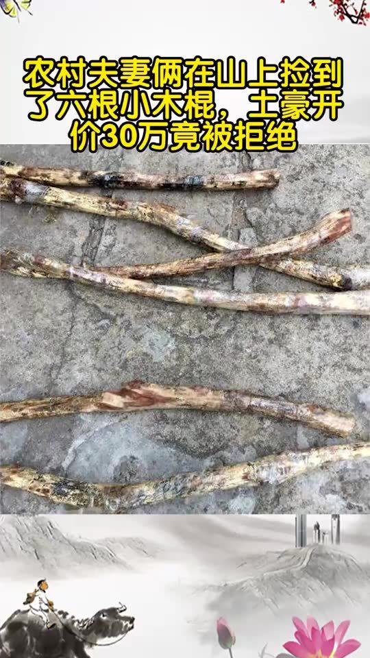 六根的意思六根的意思是什么