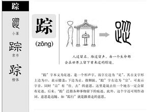 踪怎么读 踪字意思解释