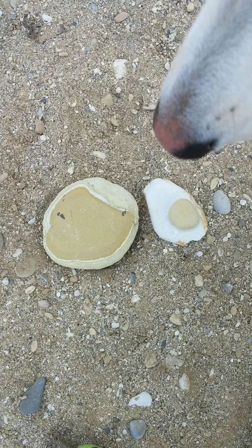 瞟见注音，瞟见的瞟怎么读